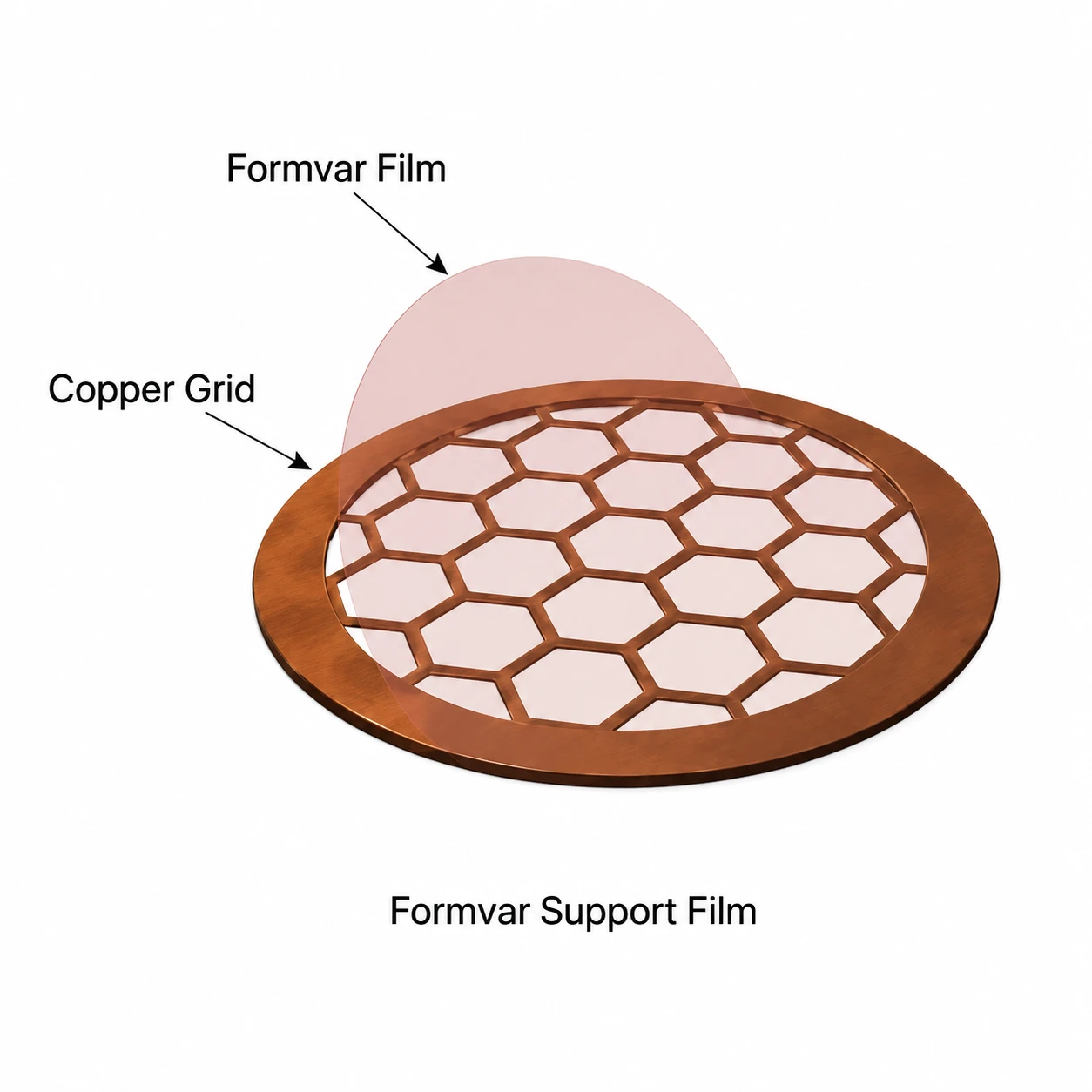 Carbon-Free Formvar Film for TEM Grids